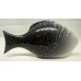 POOLE POTTERY FISH – AURA DESIGN BIG FISH (B)